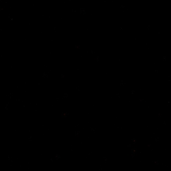 Meet your Posher, Adam - Picture 1 of 1